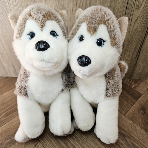 Lapland xmas husky dog - husky,