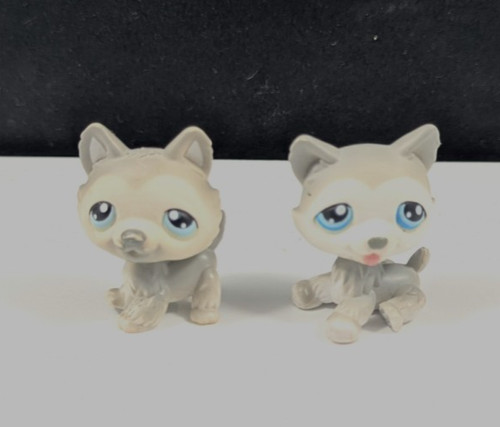 Lps littlest pet - littlest, #69