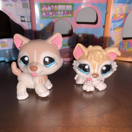 Lps littlest pet shop husky - pet,