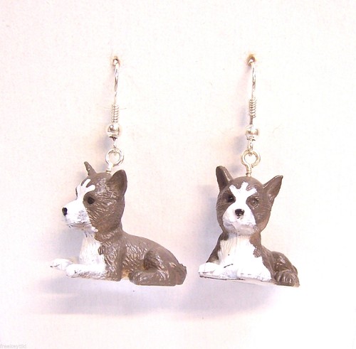 New siberian husky huskies - siberian,