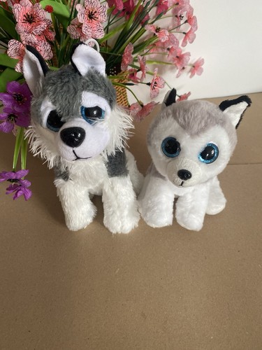 Pair blue eye husky - pair,