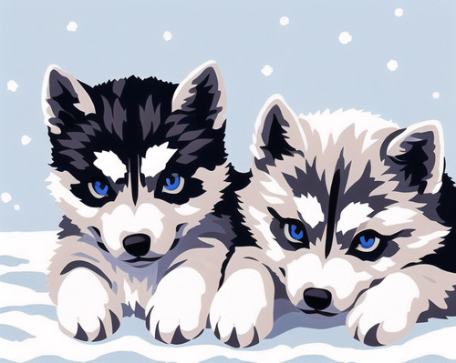 Lovely pair husky puppy - of,