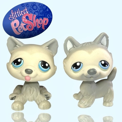 Lps littlest pet - shop, pair