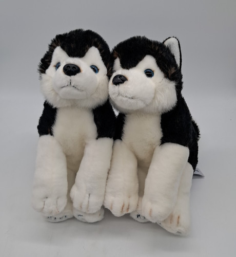 Pair official lapland - lapland, uk